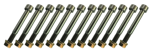 Sprint Car Titanium Nerf Bolt Kit
